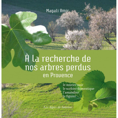 A la recherche de nos arbres perdus en Provence